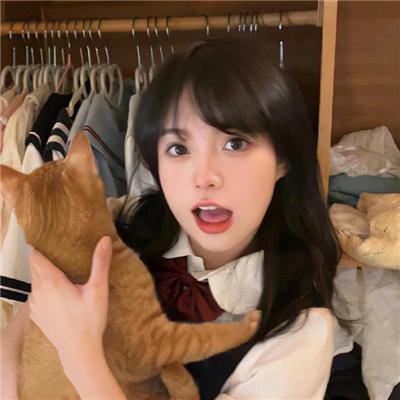 剧集综艺