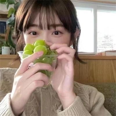 犬心犬意